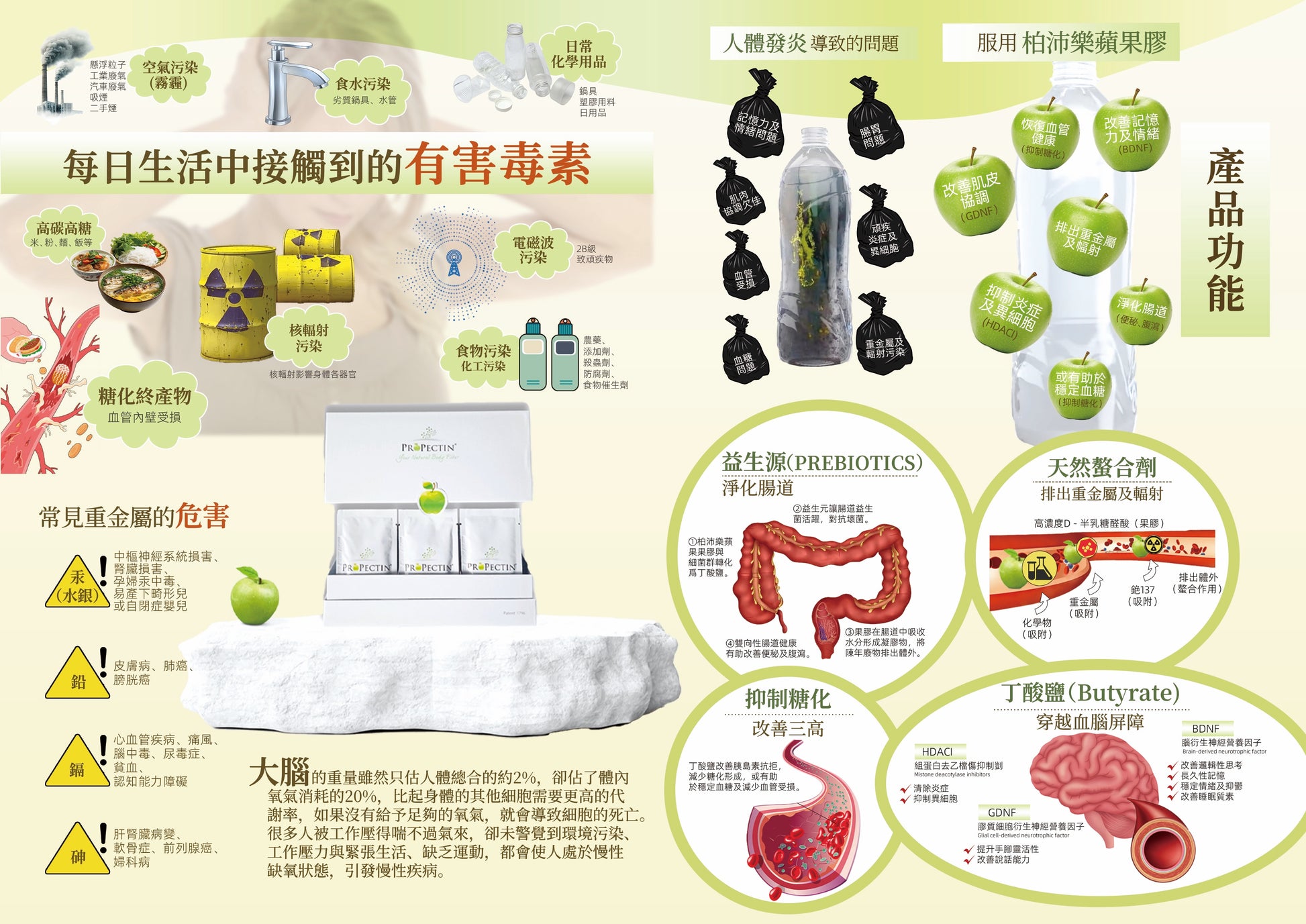 11.11 特別活動 Propectin 柏沛樂醫療級蘋果果膠（4盒送 保溫咖啡杯 1個）🍏🥤